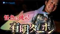 ライトタックルで挑む!! 有明海の怪魚『有明ターポン』