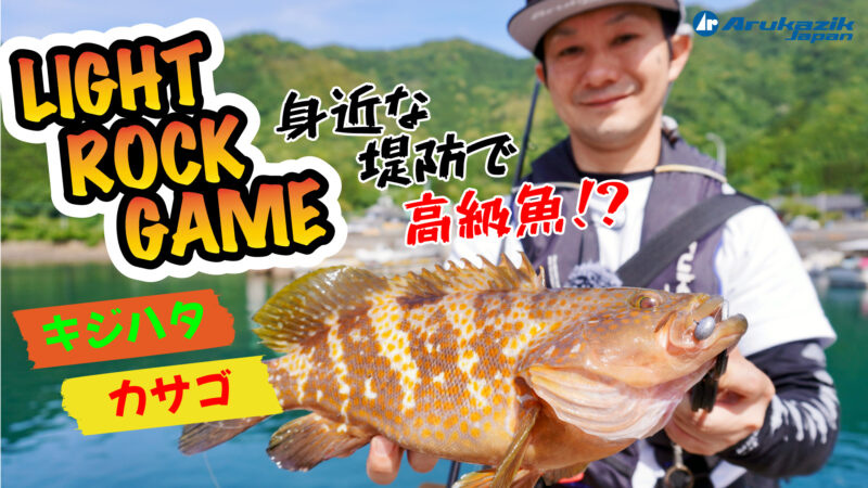 BM Teibo Light Rock game!! 身近な堤防で高級魚⁉